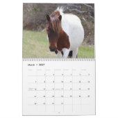 Assateague Wild Horses Calendar Kalender (Mär 2027)