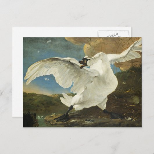 Asselijns bedrohter Schwan Postkarte (Vorne/Hinten)