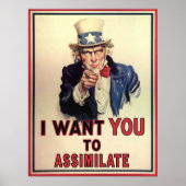 Assimilation Poster (Vorne)