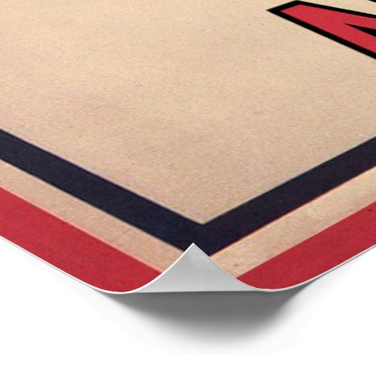 Assimilation Poster (Ecke)