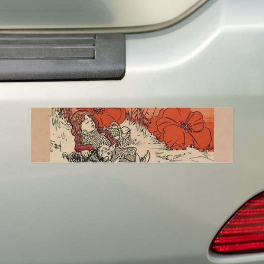 Assistent von Oz Autoaufkleber (Auf Auto)