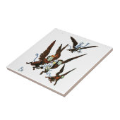 Assistent von Oz Fliese (Seite)