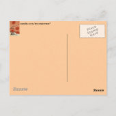 Assistent von Oz Postkarte (Rückseite)