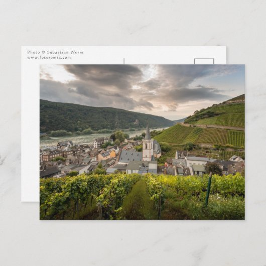 Assmannshausen Postkarte (Vorne/Hinten)