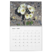 Assorted Blume Wall Kalender 5 von J.W. Vater (Mär 2027)