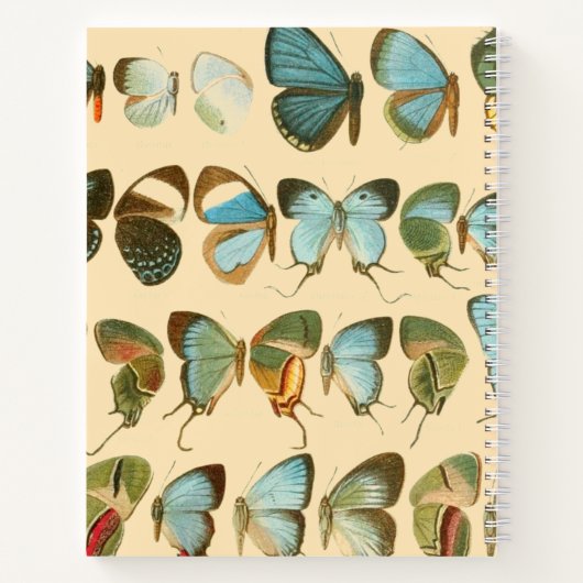 Assorted Butterfly Hardcover Spiral Sketchbook Notizblock (Rückseite)