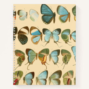 Assorted Butterfly Hardcover Spiral Sketchbook Notizblock