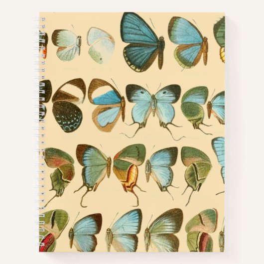 Assorted Butterfly Hardcover Spiral Sketchbook Notizblock (Vorderseite)