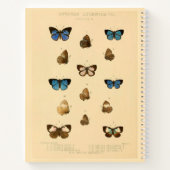 Assorted Butterfly Hardcover Spiral Sketchbook Notizblock (Rückseite)
