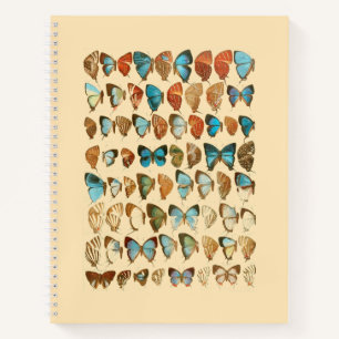 Assorted Butterfly Hardcover Spiral Sketchbook Notizblock