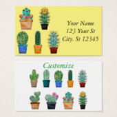 Assorted Cactus Pflanze Thunder_Cove (Vorne & Hinten)