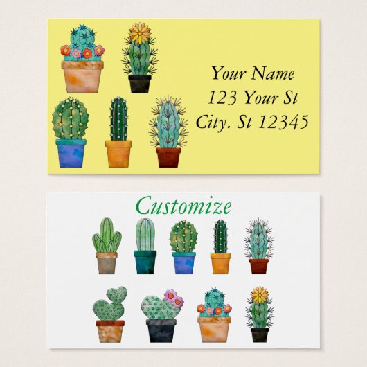 Assorted Cactus Pflanze Thunder_Cove (Vorne & Hinten)