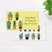 Assorted Cactus Pflanze Thunder_Cove (Schreibtisch)