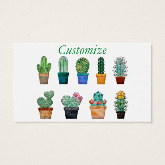 Assorted Cactus Pflanze Thunder_Cove (Rückseite)