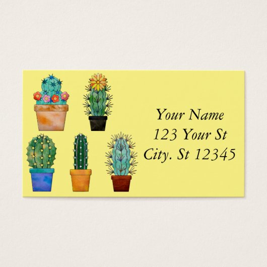 Assorted Cactus Pflanze Thunder_Cove (Vorderseite)