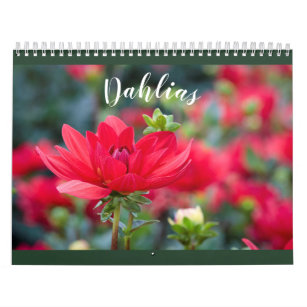 Assorted Colorful Dahlia 2021 Blume Foto Kalender