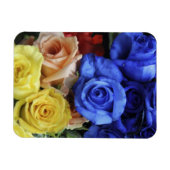 Assorted fresh rose bouquets magnet (Horizontal)