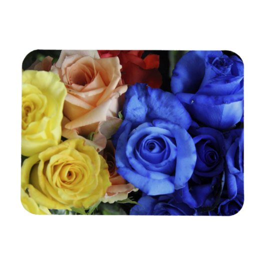 Assorted fresh rose bouquets magnet (Horizontal)