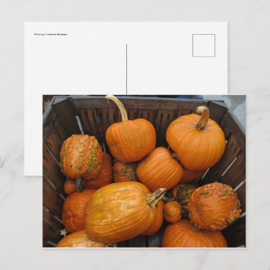 Assorted Pumpkins Postkarte (Vorne/Hinten)