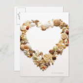 Assortierte Muscheln formen die Herzform Postkarte (Vorne/Hinten)
