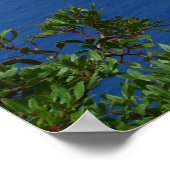 Assos Village Kefalonia griechische Insel Griechen Poster (Ecke)