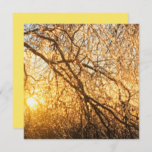 Äste bei Sonnenuntergang Einladung (Vorne/Hinten)