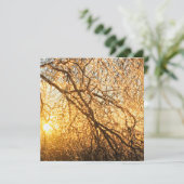 Äste bei Sonnenuntergang Einladung (Stehend Vorderseite)