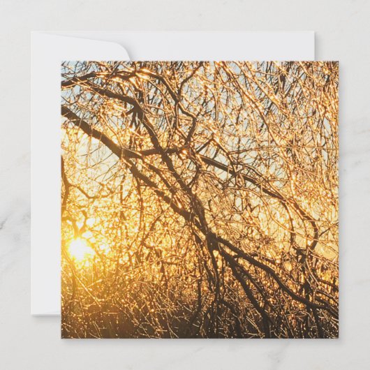 Äste bei Sonnenuntergang Einladung (Vorderseite)