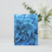 Äste mit Frostkristallen bedeckt Postkarte (Stehend Vorderseite)