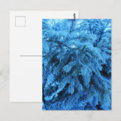 Äste mit Frostkristallen bedeckt Postkarte (Vorne/Hinten)