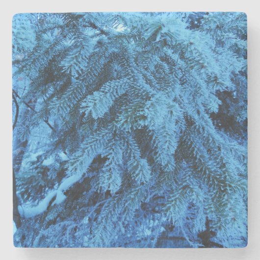 Äste mit Schnee und Frost bedeckt Steinuntersetzer (Vorderseite)