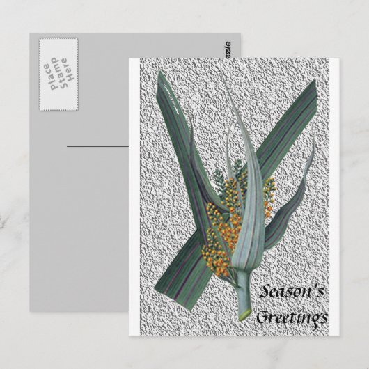 Astelia Nervosa Postkarte (Vorne/Hinten)