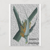 Astelia Nervosa Postkarte (Vorderseite)