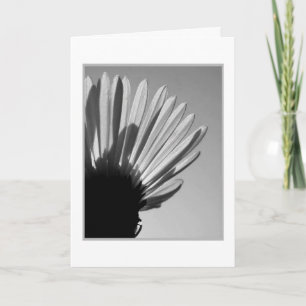 ASTER: A Die. . . Karte