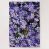Aster amellus ‚Moerheim gem‘ Puzzle (Vertikal)