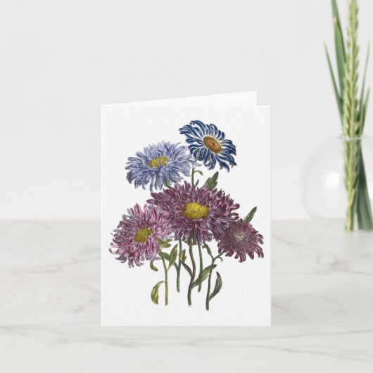 Aster-Aquarell-Raum-Anmerkungs-Karte Karte (Vorderseite)