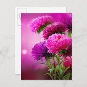 Aster Autumn Blumen Art Design Postkarte (Vorne/Hinten)