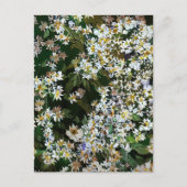ASTER-BLUME POSTKARTE (Vorderseite)
