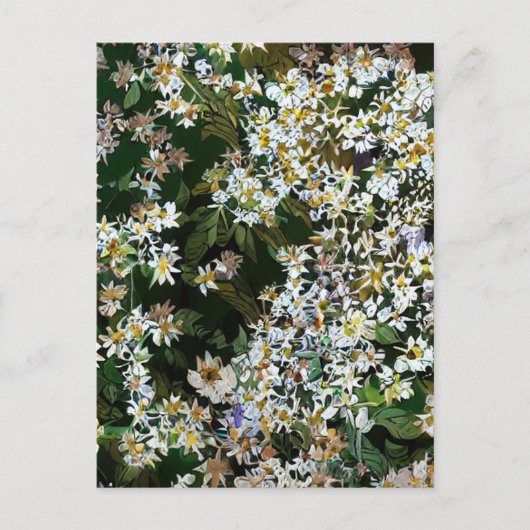 ASTER-BLUME POSTKARTE (Vorderseite)