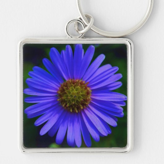 ASTER-BLUME SCHLÜSSELANHÄNGER (Vorne)