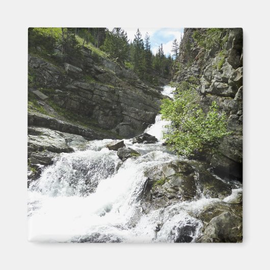 Aster Creek im Glacier National Park Magnet (Vorne)