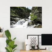 Aster Creek im Glacier National Park Poster (Heimbüro)