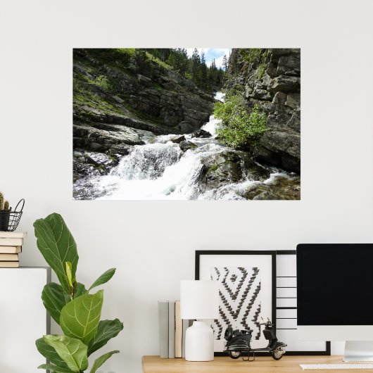 Aster Creek im Glacier National Park Poster (Heimbüro)