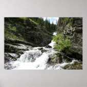 Aster Creek im Glacier National Park Poster (Vorne)