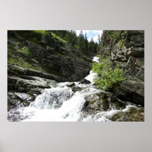 Aster Creek im Glacier National Park Poster