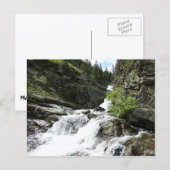 Aster Creek im Glacier National Park Postkarte (Vorne/Hinten)