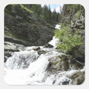Aster Creek im Glacier National Park Quadratischer Aufkleber