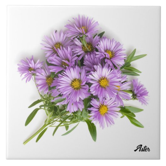 Aster Fliese (Vorderseite)