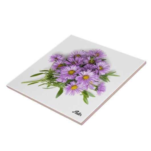 Aster Fliese (Seite)