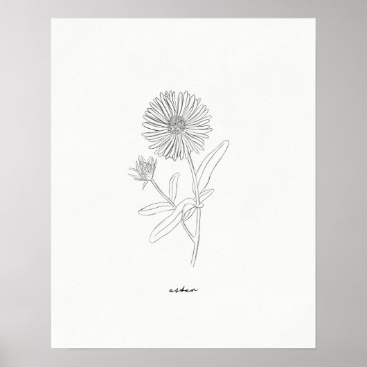 Aster Line Zeichnend Druck - Handgezeichnet Blume Poster (Vorne)
